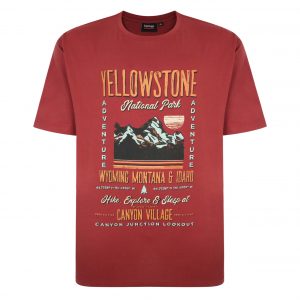 Espionage Printed Tee Shirts