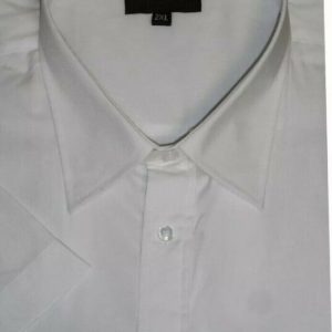 metaphor-white-shirt