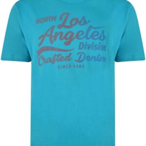Kam  Los AngelesTee Shirt in Breeze  2XLto 8XL